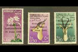 1960 "Somaliland Independence" Overprints Complete Set (SG 353/55, Scott 242 & C68/69), Never Hinged Mint, Fresh. (3 Sta - Somalie (1960-...)