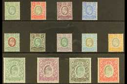 1904 KEVII Complete Definitive Set, SG 32/44, Fine Mint, 3r With A Light Crease. (13 Stamps) For More Images, Please Vis - Somalilandia (Protectorado ...-1959)