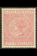 NATAL 1874-99 5s Rose, SG 72, Fine Never Hinged Mint, Tiny Natural Intrusion In Gum And Small Corner Wrinkle, Very Nice  - Sin Clasificación