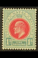 NATAL 1904-8 1s Carmine & Pale Blue, Wmk Mult Crown CA, SG 155, Very Slightly Toned Gum, Otherwise Never Hinged Mint. Fo - Unclassified