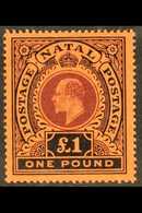 NATAL 1908-09 £1 Purple And Black On Red, SG 171, Very Fine Mint.  For More Images, Please Visit Http://www.sandafayre.c - Unclassified