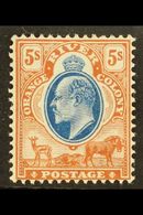 ORANGE FREE STATE 1903 5s Blue And Brown, Ed VII, SG 147, Fresh Mint. For More Images, Please Visit Http://www.sandafayr - Unclassified