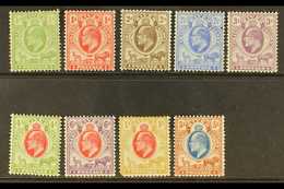 ORANGE RIVER COLONY 1903-04 Complete Set, SG 139/147, Mainly Fine Mint, The 1s With Faults. (9 Stamps) For More Images,  - Unclassified