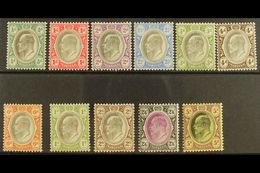 TRANSVAAL 1902 Ed VII Set To 5s Complete, SG 244/54, Very Fine Mint. (11 Stamps) For More Images, Please Visit Http://ww - Sin Clasificación