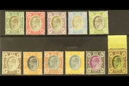 TRANSVAAL 1904-09 Set To 5s, SG 260/270, Very Fine Mint, The 5s Nhm. (11 Stamps) For More Images, Please Visit Http://ww - Unclassified