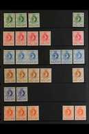 1938-54 MINT / NHM DEFINITIVE HOARD Presented On A Pair Of Stock Pages With Shade & Perforation Variants. Includes Two C - Swasiland (...-1967)