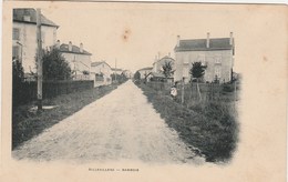 AILLEVILLERS    70  HAUTE SAONE   CPA   BAMBOIS - Sonstige & Ohne Zuordnung