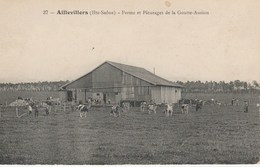 AILLEVILLERS    70  HAUTE SAONE   CPA  FERME ET PATURAGE DE LA GOUTTE - AURION - Sonstige & Ohne Zuordnung