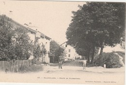 AILLEVILLERS    70  HAUTE SAONE   CPA   ROUTE DE PLOMBIERES - Otros & Sin Clasificación