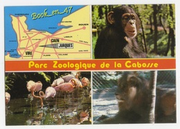 {79227} 14 Calvados , Jurques , Parc Zoologique De La Cabosse , Carte Et Multivues ; Chimpanzé , Lion , Flamants Roses - Cartes Géographiques