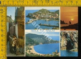 Delcampe - Grosseto Isola Del Giglio - Grosseto