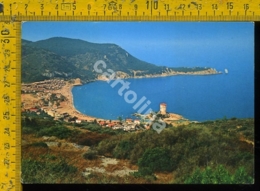 Delcampe - Grosseto Isola Del Giglio - Grosseto