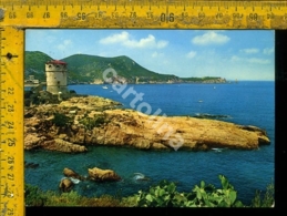 Delcampe - Grosseto Isola Del Giglio - Grosseto