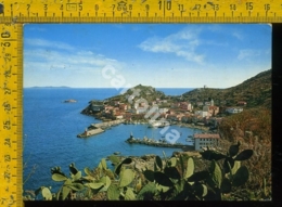Delcampe - Grosseto Isola Del Giglio - Grosseto