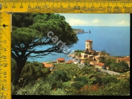 Delcampe - Grosseto Isola Del Giglio - Grosseto