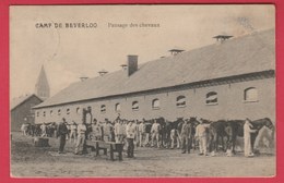 Kamp Van Beverloo - Pansage Des Chevaux - 1912 ( Verso Zien ) - Houthalen-Helchteren