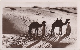 AK Scènes Types Passage Dunes Desert Bédouine Nomade Arabe Arab Arabien Afrique Africa Afrika Vintage Egypte Algerie ? - Afrique