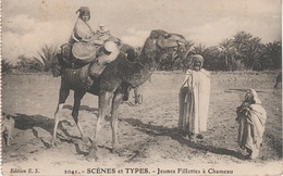 AK Scènes Types Filles Chameau Desert Bédouine Nomade Arabe Arab Arabien Afrique Africa Afrika Vintage Egypte Algerie ? - Afrique