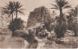 AK Scènes Types Au Bord D' Oued Desert Bédouine Nomade Arabe Arab Arabien Afrique Africa Afrika Vintage Egypte Algerie ? - Afrique