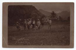 ILE DOMINIQUE - CARTE PHOTO  - BOIS D'INDES / GRAND BAY - Dominica