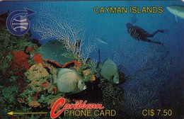 CAYMAN ISLANDS. Diver In Reef (Old Logo). 1991. 48500 Ex. 2CCIA. (911) - Cayman Islands