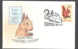 Delcampe - 75095- PROTECT NATURE, RED SQUIRREL, MAMMALS, SPECIAL COVER, 1994, ROMANIA - Nager