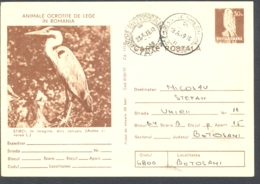 75099- GREY HERON, KESTREL, BIRDS, POSTCARD STATIONERY, 1979, ROMANIA - Pélicans