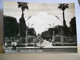 1961 - Cerignola - Ingresso - Giardini Pubblici - Vigile Urbano In Tenuta Estiva - Animata Ragazzi - Cartolina D'Epoca - Cerignola