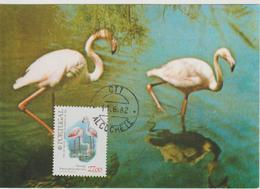 Portugal Carte Maximum Oiseaux 1982 Oiseaux Estuaire Tage 1550 - Cartes-maximum (CM)