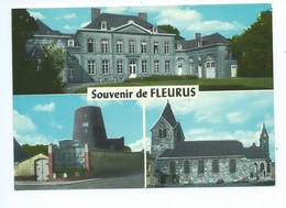 Fleurus Souvenir - Fleurus