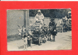 CARNAVAL Carte Photo Animée Attelage Ane Mule Cheval - Carnaval