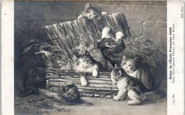 Art - Peintre Léon Huber  - Salon De L'école Française 1908 Enfin Libres (jeunes Chats) - CHATS - Malerei & Gemälde