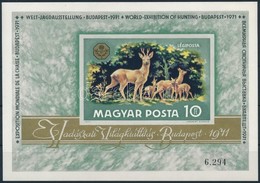 ** 1971 Vadászat Világkiállítás Vágott Blokk (8.000) - Sonstige & Ohne Zuordnung