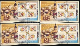 2005 Europa CEPT 10 Db Blokk FDC Kivágáson (17.000) - Andere & Zonder Classificatie