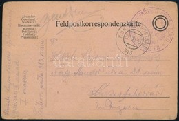 1915 Tábori Posta Levelezőlap 'M.K. SZÉKESFEHÉRVÁRI 17ik NÉPFÖLKELŐ GYALOG EZRED 1.ső ZÁSZLÓALJ PARANCSNOKSÁG' + 'FP 313 - Otros & Sin Clasificación