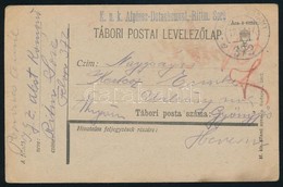 1917 Tábori Posta Levelezőlap / Field Postcard 'K.u.k. Alpines-Detachement-Rittm. Soré' + 'FP 372 A' - Other & Unclassified