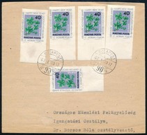 1967 Hírlap átkötőszalag 5 X 40f Vágott Bélyeges Bérmentesítéssel - Sonstige & Ohne Zuordnung