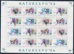 ** 1996 Naturexpo 5 Db Teljes ív (12.500) - Other & Unclassified