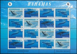 ** 2007 WWF: Bálnák Kisív Mi 1281-1284 - Sonstige & Ohne Zuordnung