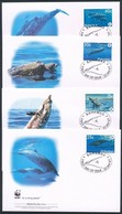 2007 WWF: Delfin Sor Mi 1281-1284 4 FDC-n - Sonstige & Ohne Zuordnung