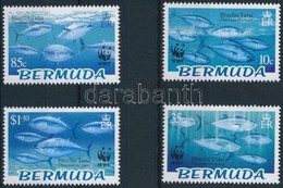 ** 2004 WWF: Tonhalak Sor Mi 877-880 - Other & Unclassified