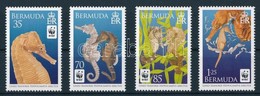 ** 2010 WWF: Tengeri Csikóhalak Sor Mi 1005-1008 - Altri & Non Classificati