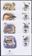 2004 WWF: Hattyúlúd Sor 4 Db FDC-n Mi 4823-4826 - Sonstige & Ohne Zuordnung