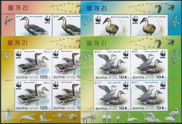 ** 2004 WWF: Kínai Hattyúlúd Sor Mi 4823-4826 - Altri & Non Classificati