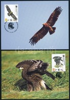 2007 WWF: Fekete Sas Sor 4 Db CM-en Mi 527-530 - Other & Unclassified