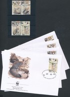 ** 2000 WWF Afgán Róka Sor 2 Párban + Sor 4 Db FDC-n Mi 1555-1558 - Other & Unclassified