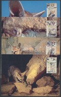 2000 WWF Afgán Róka Sor Mi 1555-1558 4 CM - Other & Unclassified