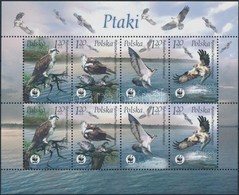 ** 2003 WWF Madarak Mi 4079 - 4082 Kisív - Other & Unclassified