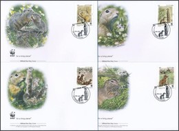 ** 2011 WWF: Ürge Négyestömb + Sor 4 FDC-n Mi 610-613 - Sonstige & Ohne Zuordnung