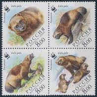 ** 2004 WWF: Torkosborz Sor Mi 1198-1201 - Sonstige & Ohne Zuordnung